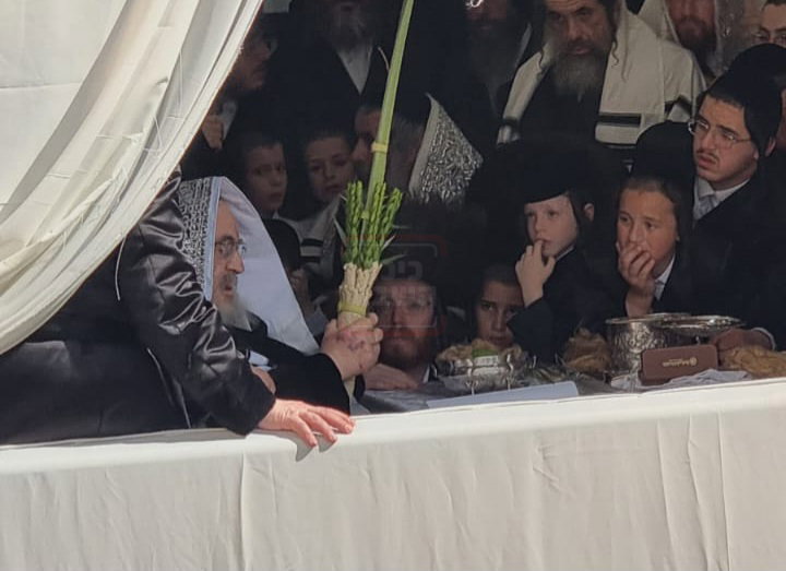 האדמו"ר מויז'ניץ בנענועים בחוה"מ סוכות
