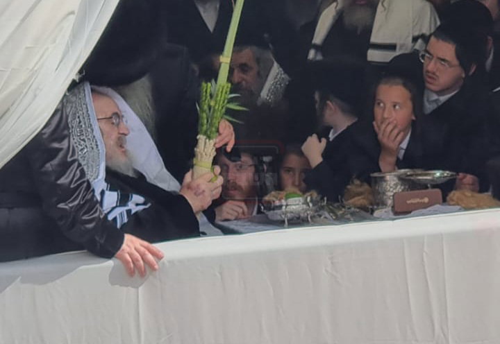 האדמו"ר מויז'ניץ בנענועים בחוה"מ סוכות