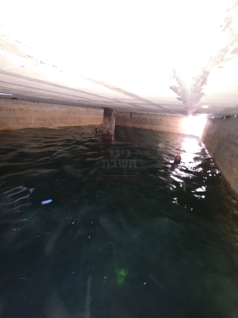 ישראל שפירא בבור הנפילים/דוד ואחיקם