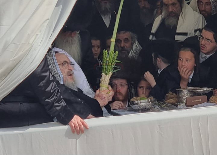 האדמו"ר מויז'ניץ בנענועים בחוה"מ סוכות