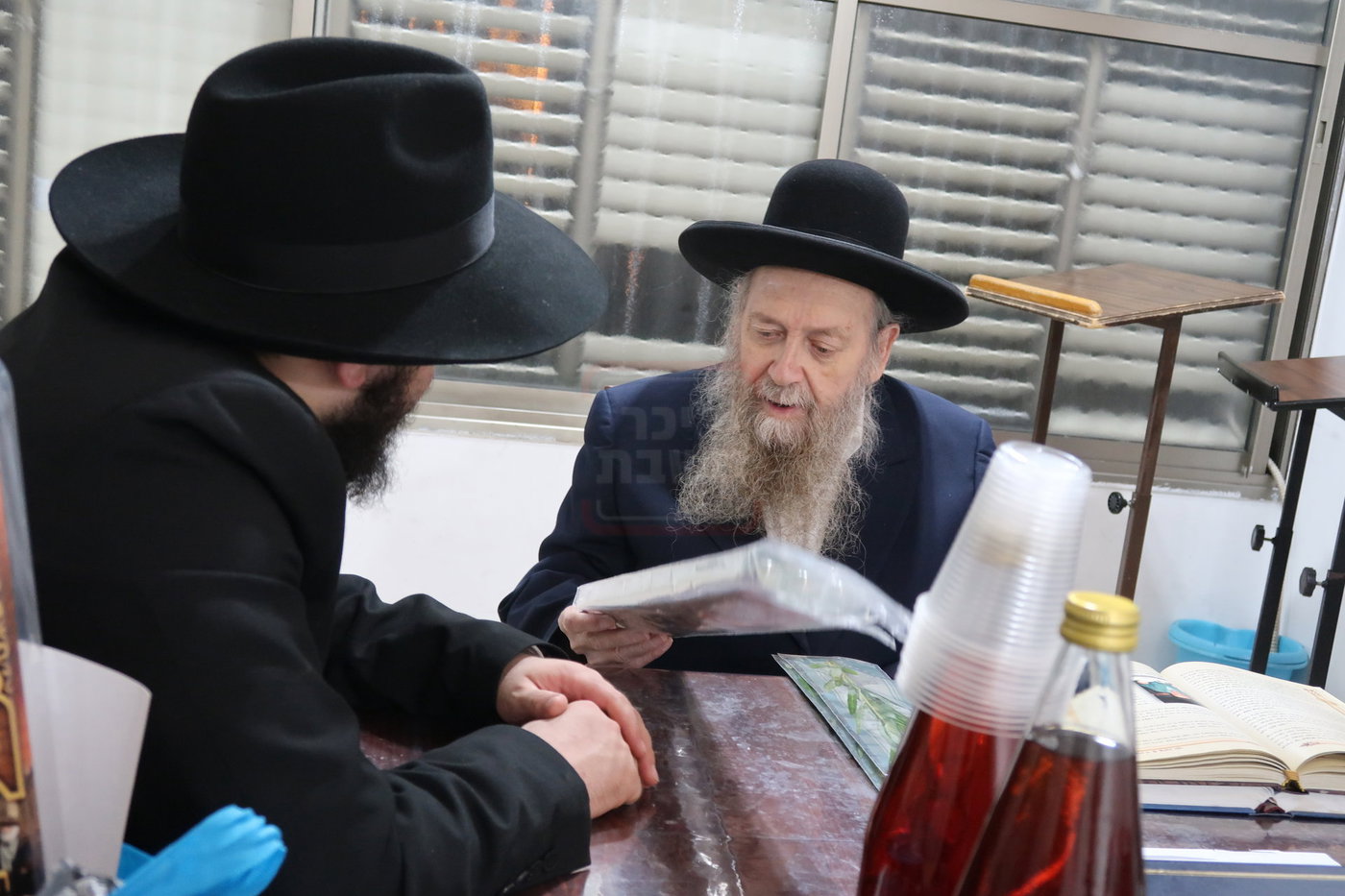 הגר"ד בצרי זצ"ל בבדיקת הדסים לסוכות תשפ"ז