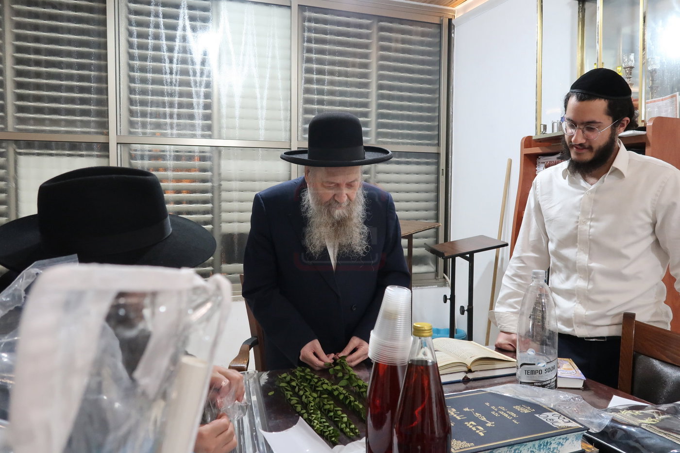 הגר"ד בצרי זצ"ל בבדיקת הדסים לסוכות תשפ"ז