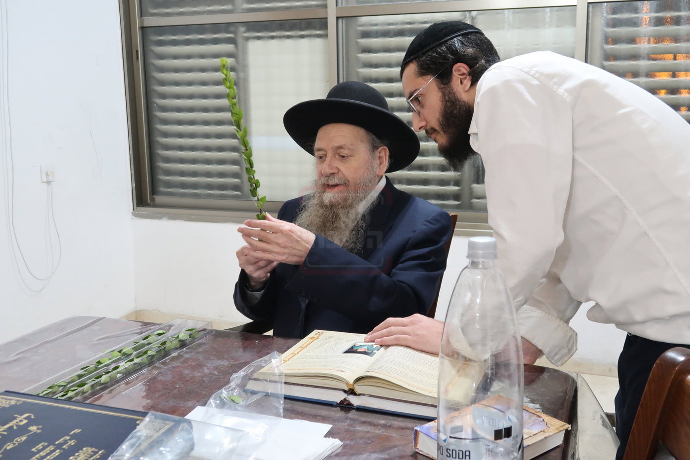 הגר"ד בצרי זצ"ל בבדיקת הדסים לסוכות תשפ"ז