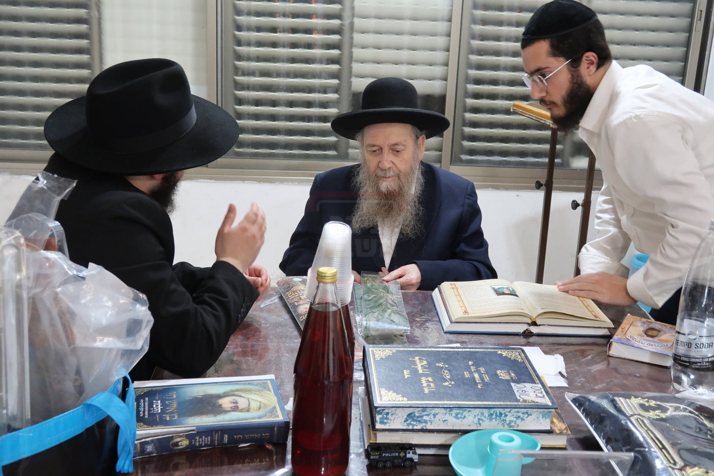 הגר"ד בצרי זצ"ל בבדיקת הדסים לסוכות תשפ"ז