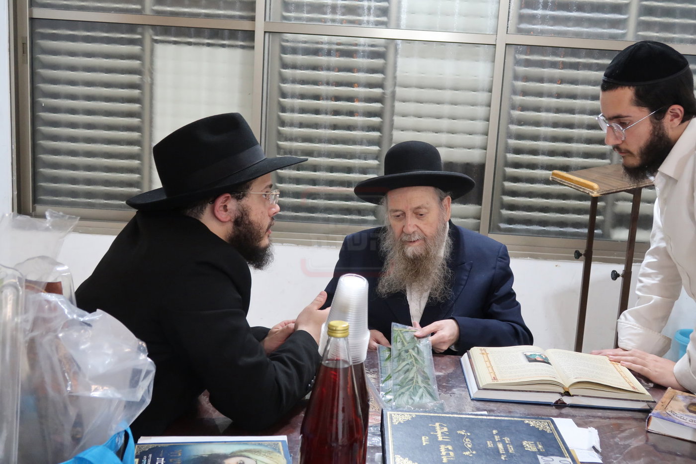 הגר"ד בצרי זצ"ל בבדיקת הדסים לסוכות תשפ"ז