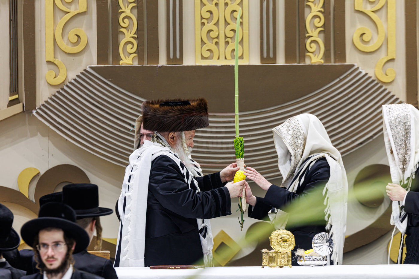 האדמו"ר מבאבוב בנענועים בחג הסוכות
