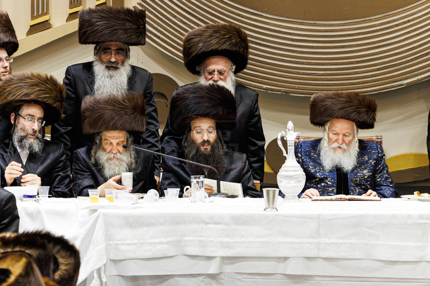 סוכות בחצה"ק באבוב