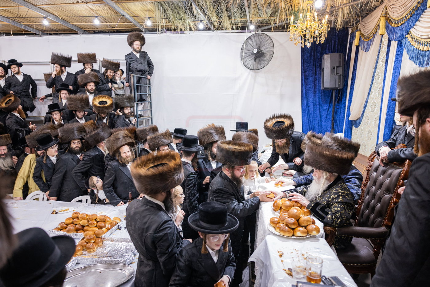 חג הסוכות בחצה"ק קרעטשניף י-ם
