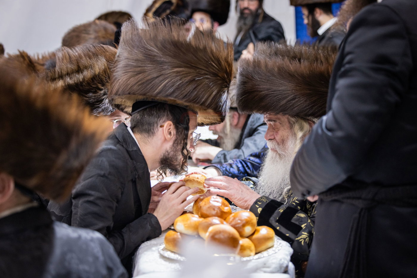 חג הסוכות בחצה"ק קרעטשניף י-ם