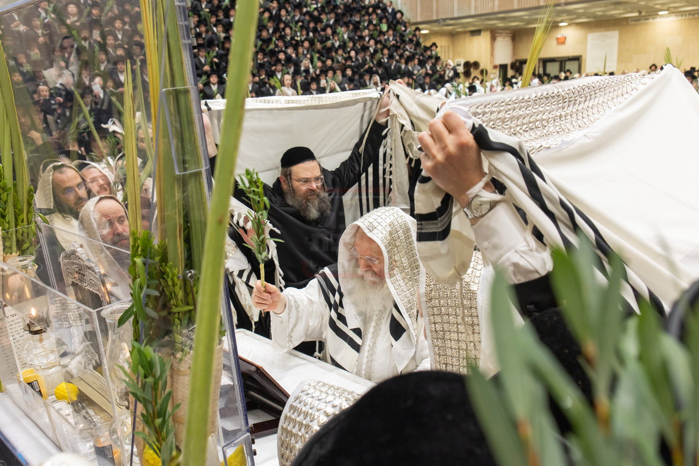 הושענא רבה בחצה"ק באבוב