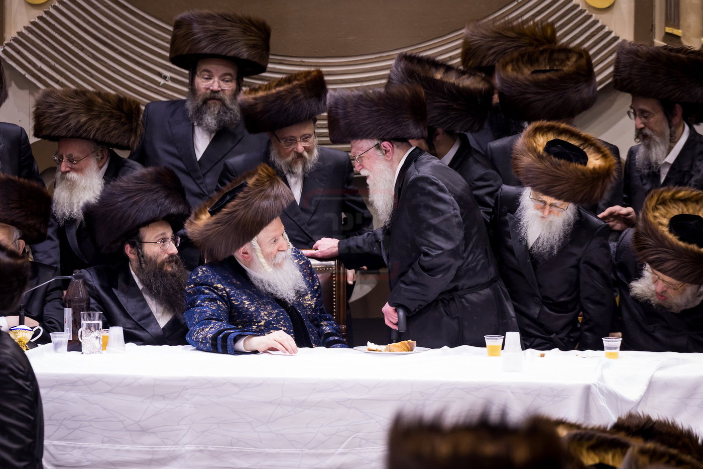 סוכות בחצה"ק באבוב