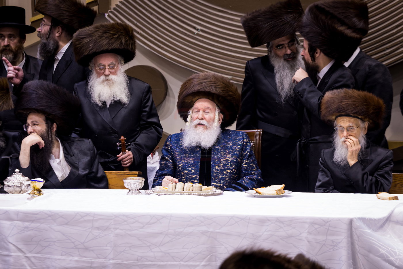 סוכות בחצה"ק באבוב