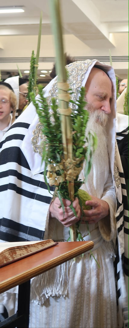ימי החג אצל האדמו"ר מתורת חכם