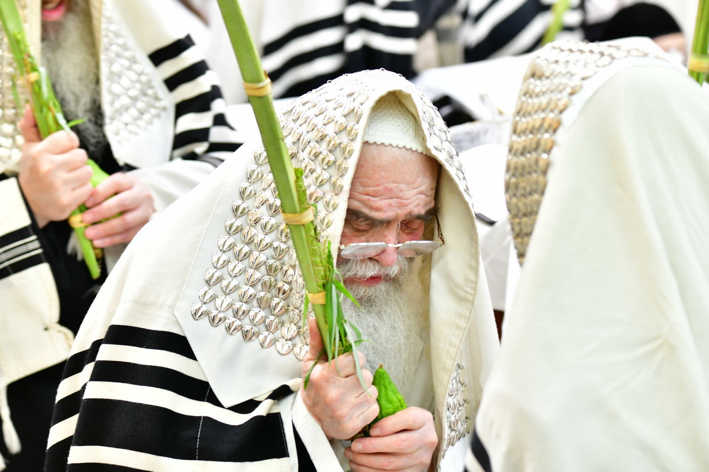חג הסוכות בחצה"ק קרעטשניף י-ם