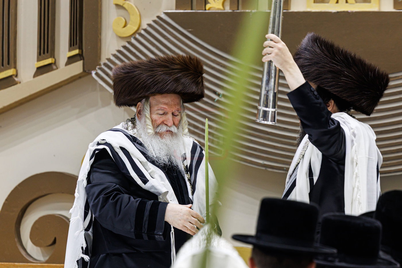 האדמו"ר מבאבוב בנענועים בחג הסוכות