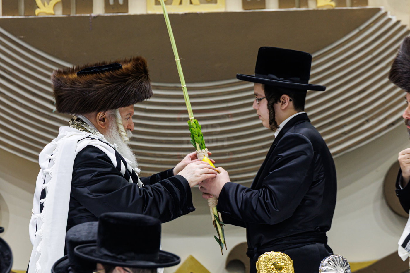 האדמו"ר מבאבוב בנענועים בחג הסוכות