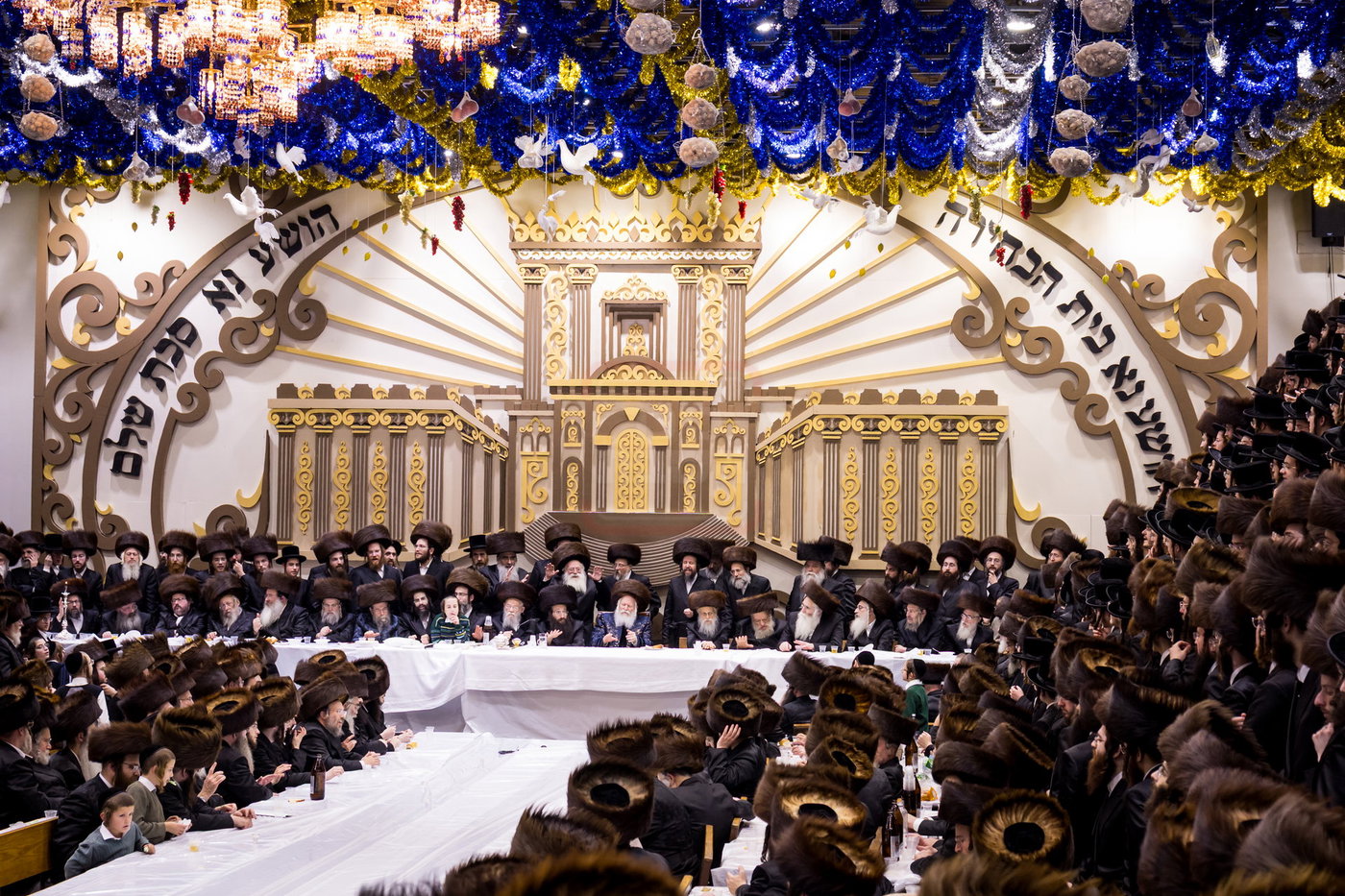 סוכות בחצה"ק באבוב
