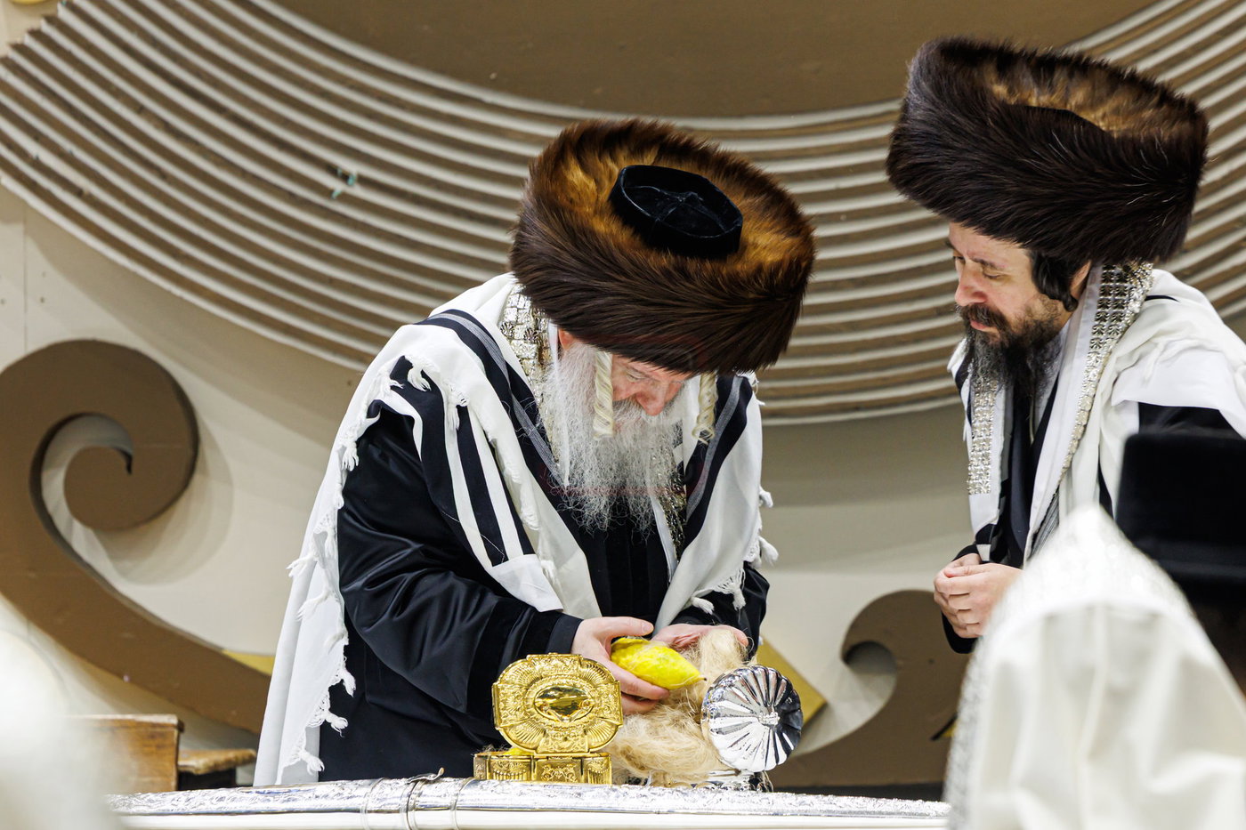 האדמו"ר מבאבוב בנענועים בחג הסוכות