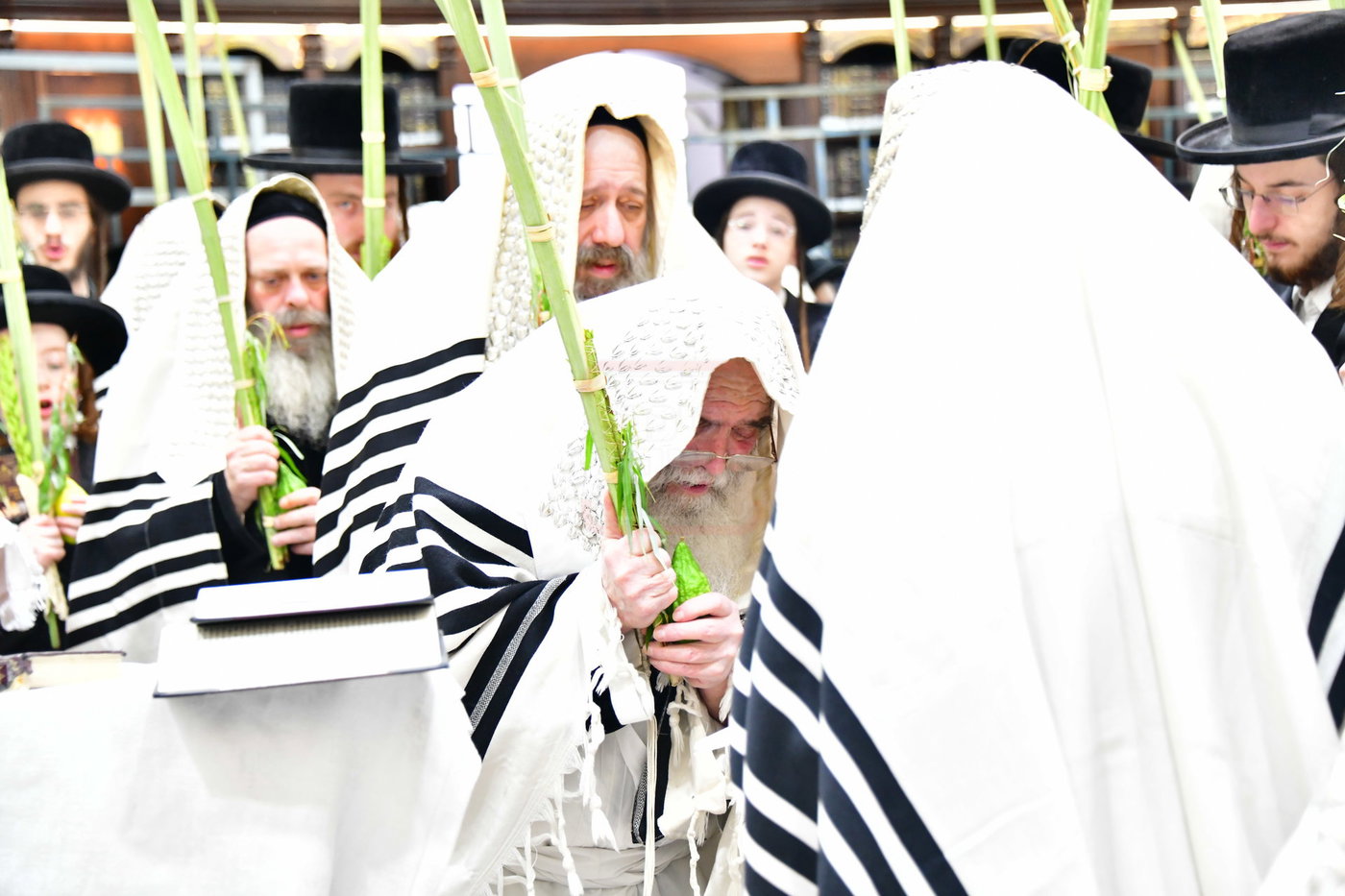 חג הסוכות בחצה"ק קרעטשניף י-ם