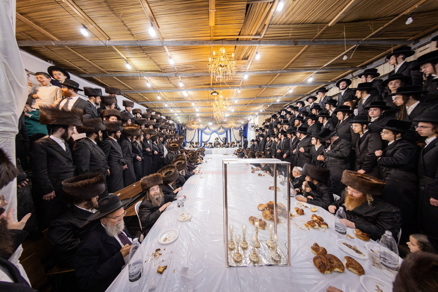 חג הסוכות בחצה"ק קרעטשניף י-ם