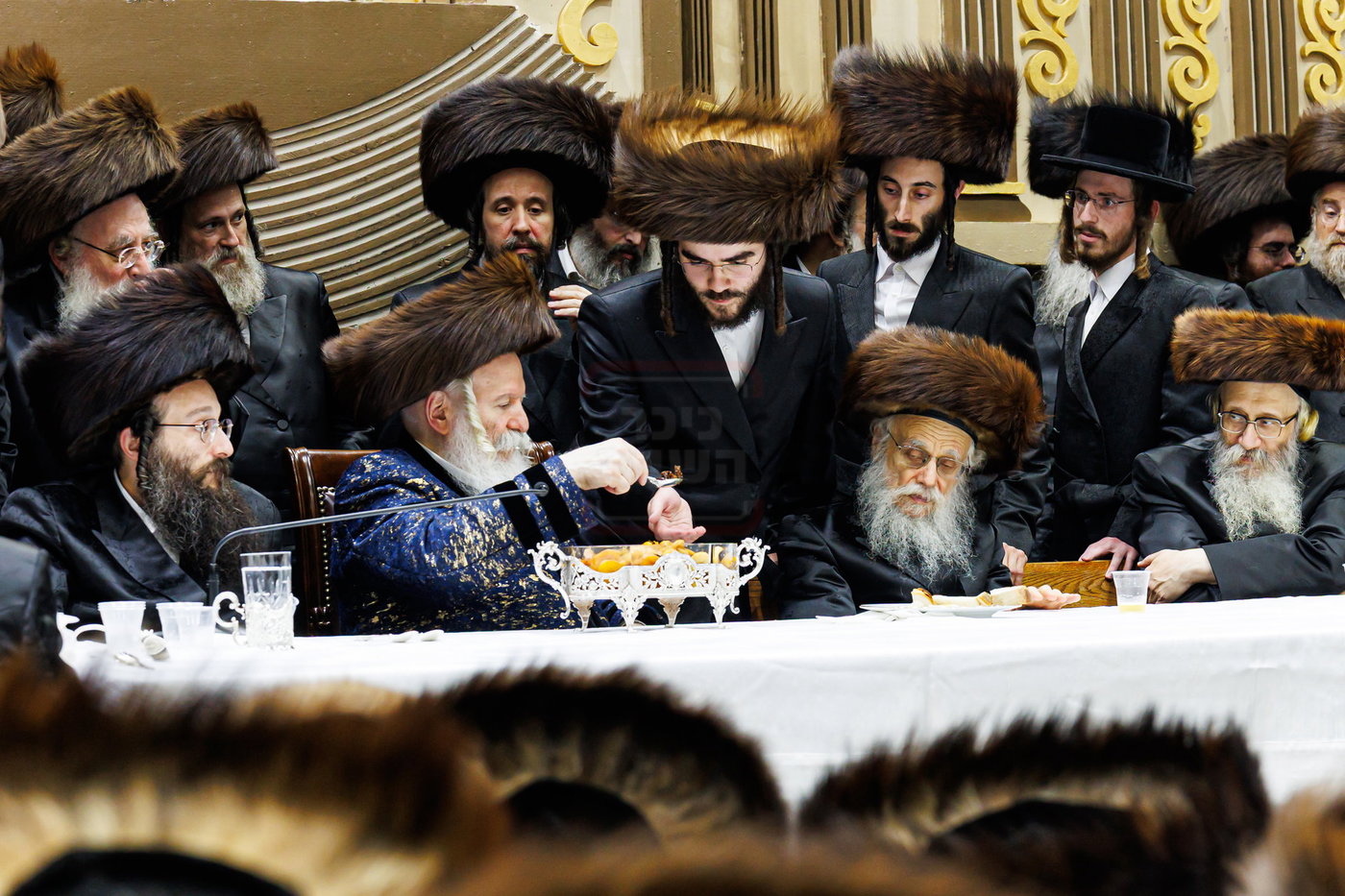 סוכות בחצה"ק באבוב