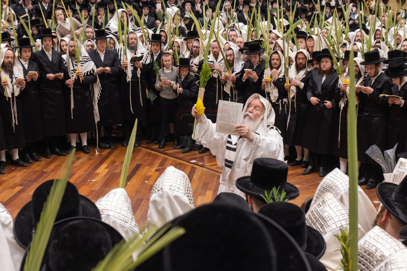 הושענא רבה בחצה"ק באבוב