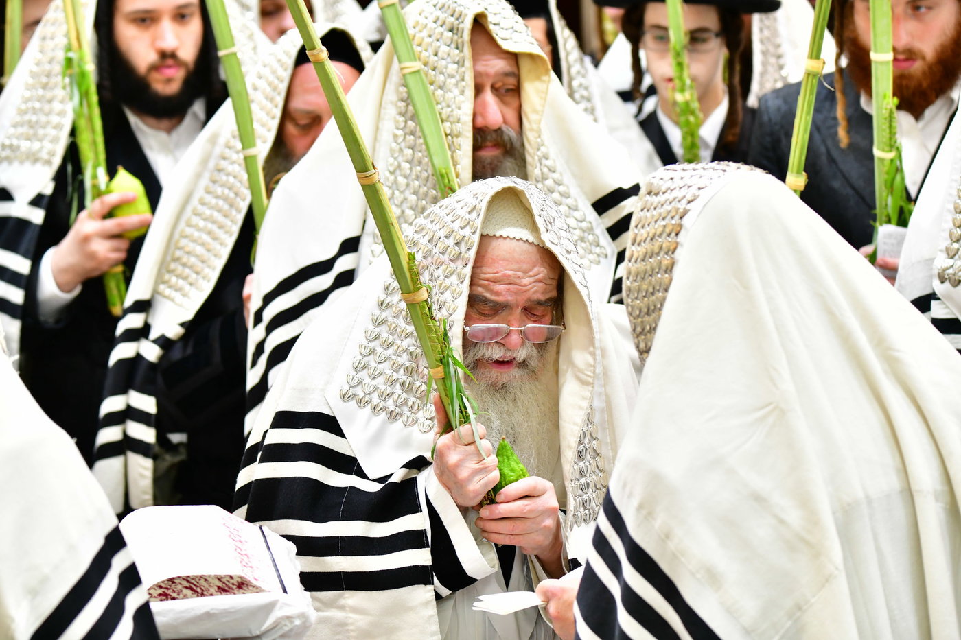 חג הסוכות בחצה"ק קרעטשניף י-ם