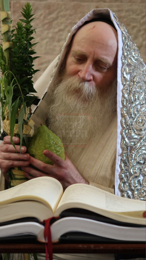 ימי החג אצל האדמו"ר מתורת חכם