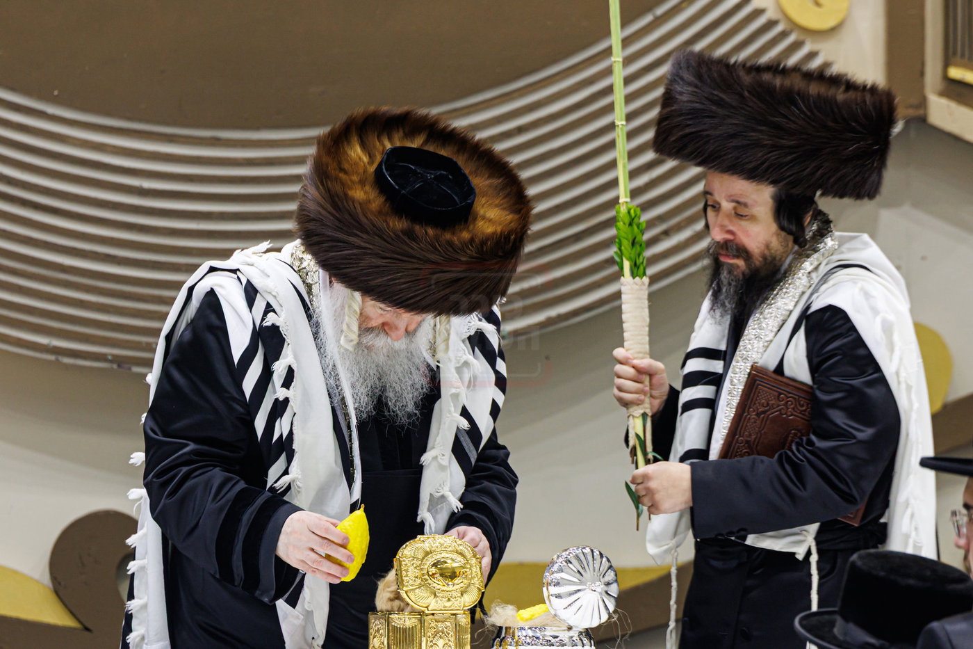 האדמו"ר מבאבוב בנענועים בחג הסוכות