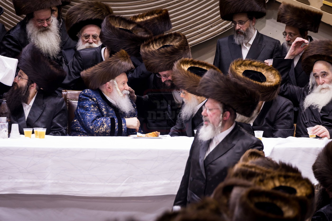 סוכות בחצה"ק באבוב