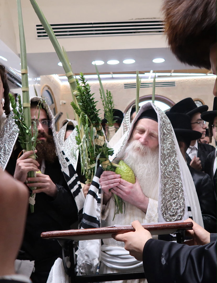 ימי החג אצל האדמו"ר מתורת חכם