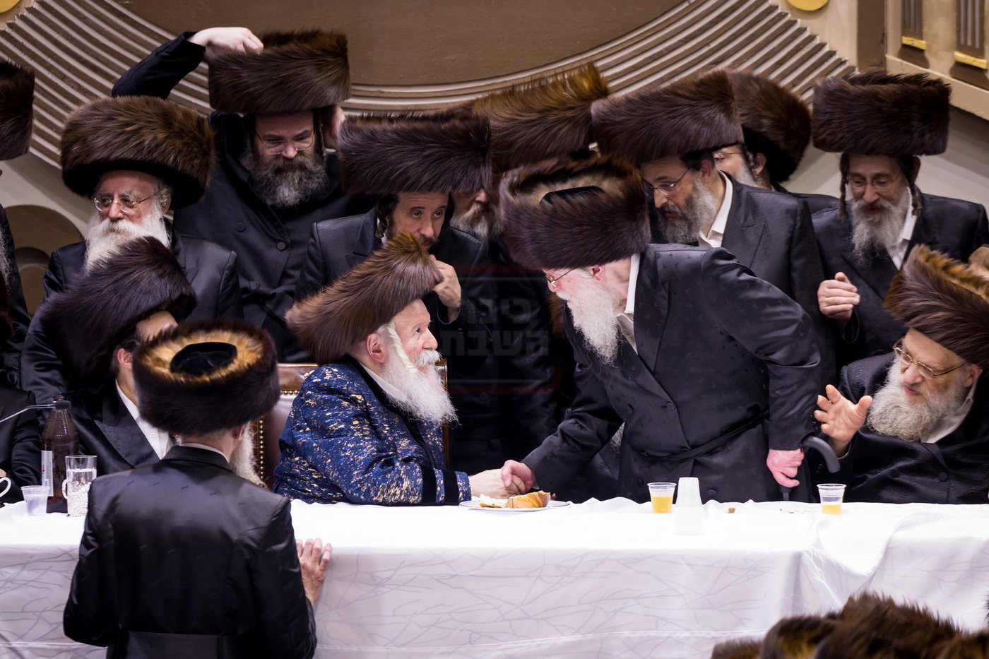 סוכות בחצה"ק באבוב
