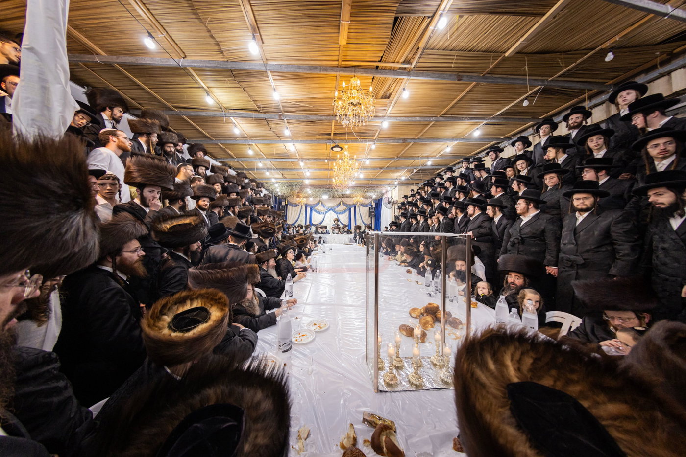 חג הסוכות בחצה"ק קרעטשניף י-ם