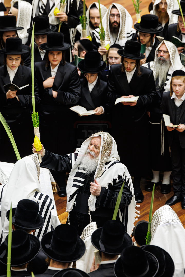 האדמו"ר מבאבוב בנענועים בחג הסוכות