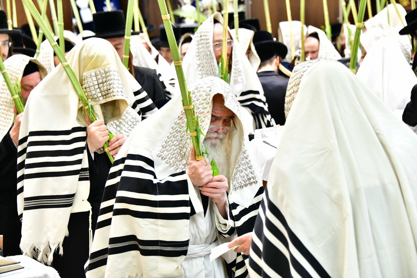 חג הסוכות בחצה"ק קרעטשניף י-ם