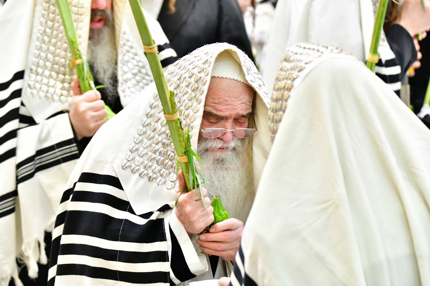 חג הסוכות בחצה"ק קרעטשניף י-ם