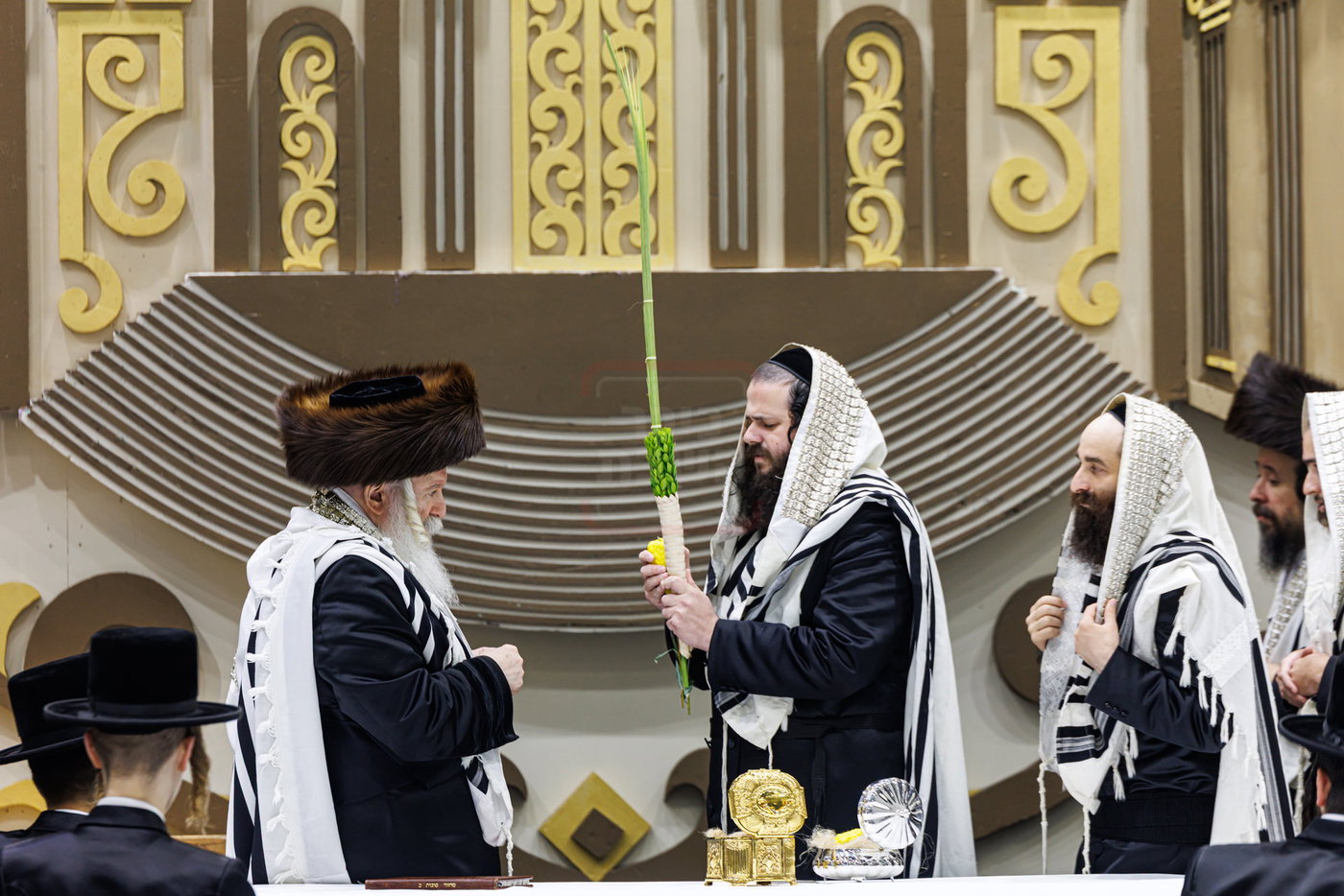 האדמו"ר מבאבוב בנענועים בחג הסוכות