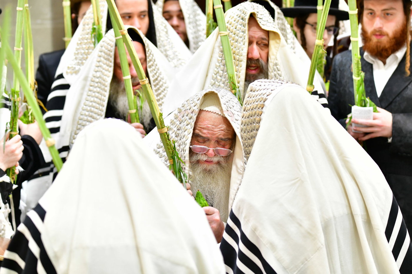 חג הסוכות בחצה"ק קרעטשניף י-ם