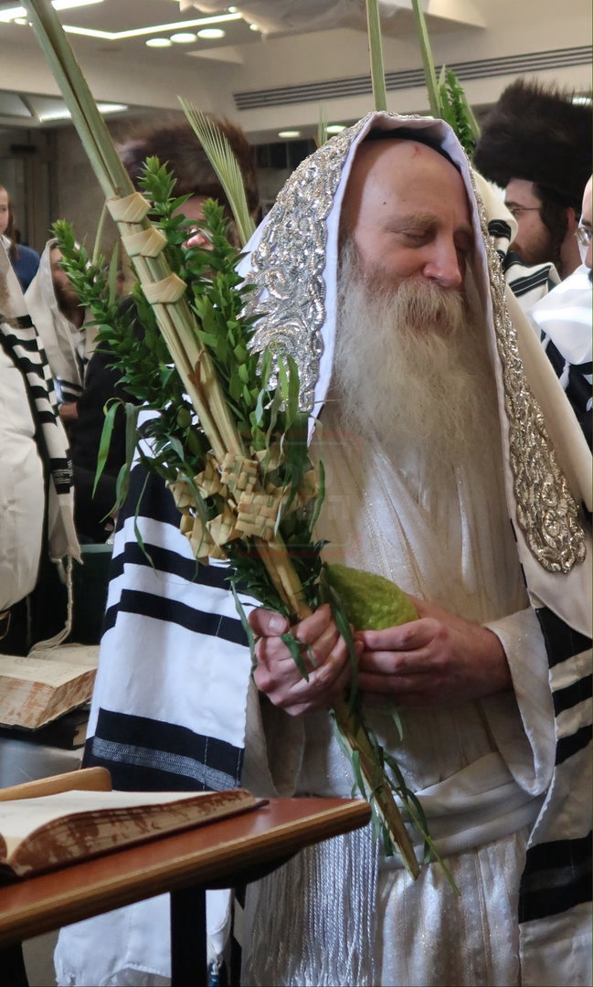 ימי החג אצל האדמו"ר מתורת חכם