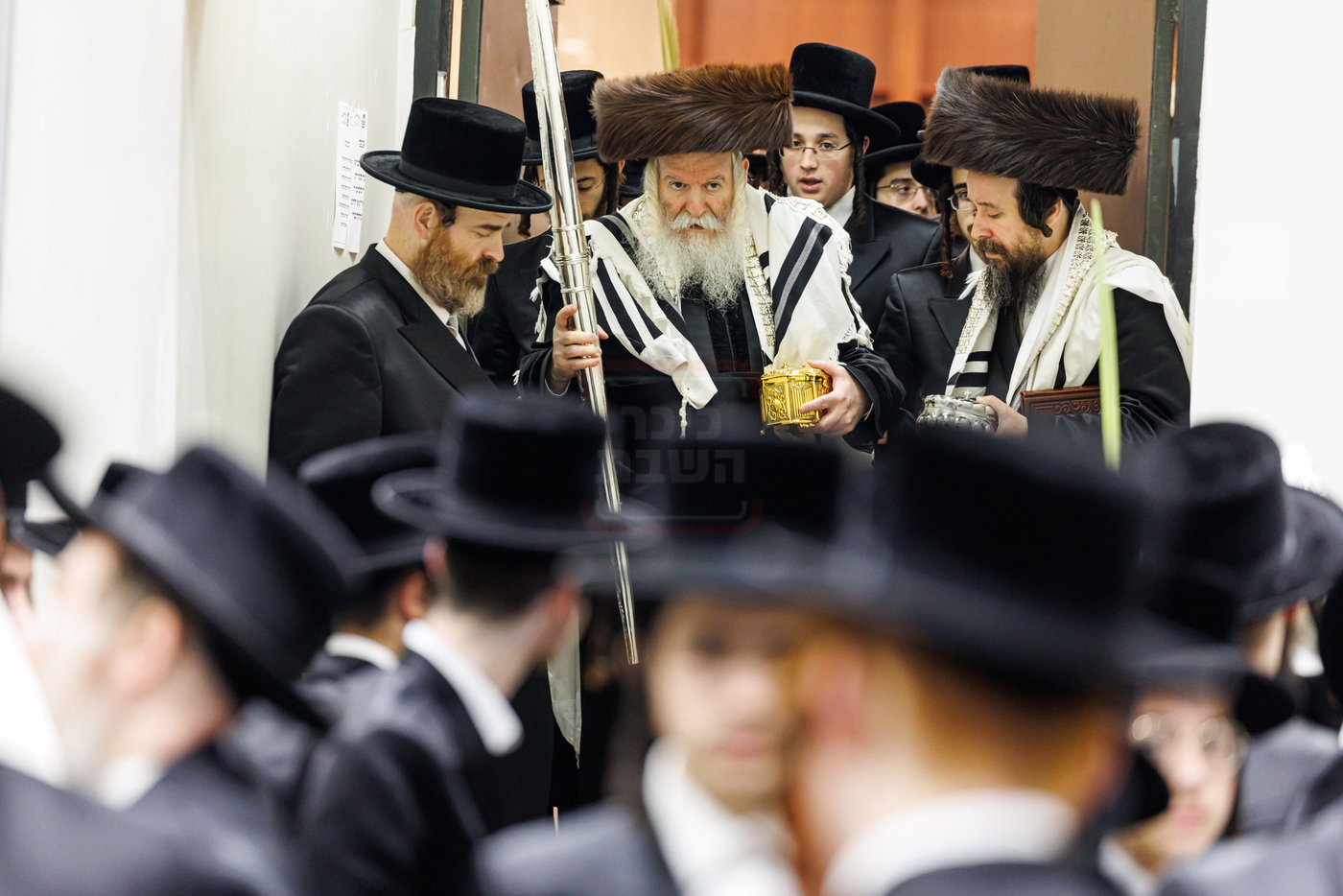 האדמו"ר מבאבוב בנענועים בחג הסוכות