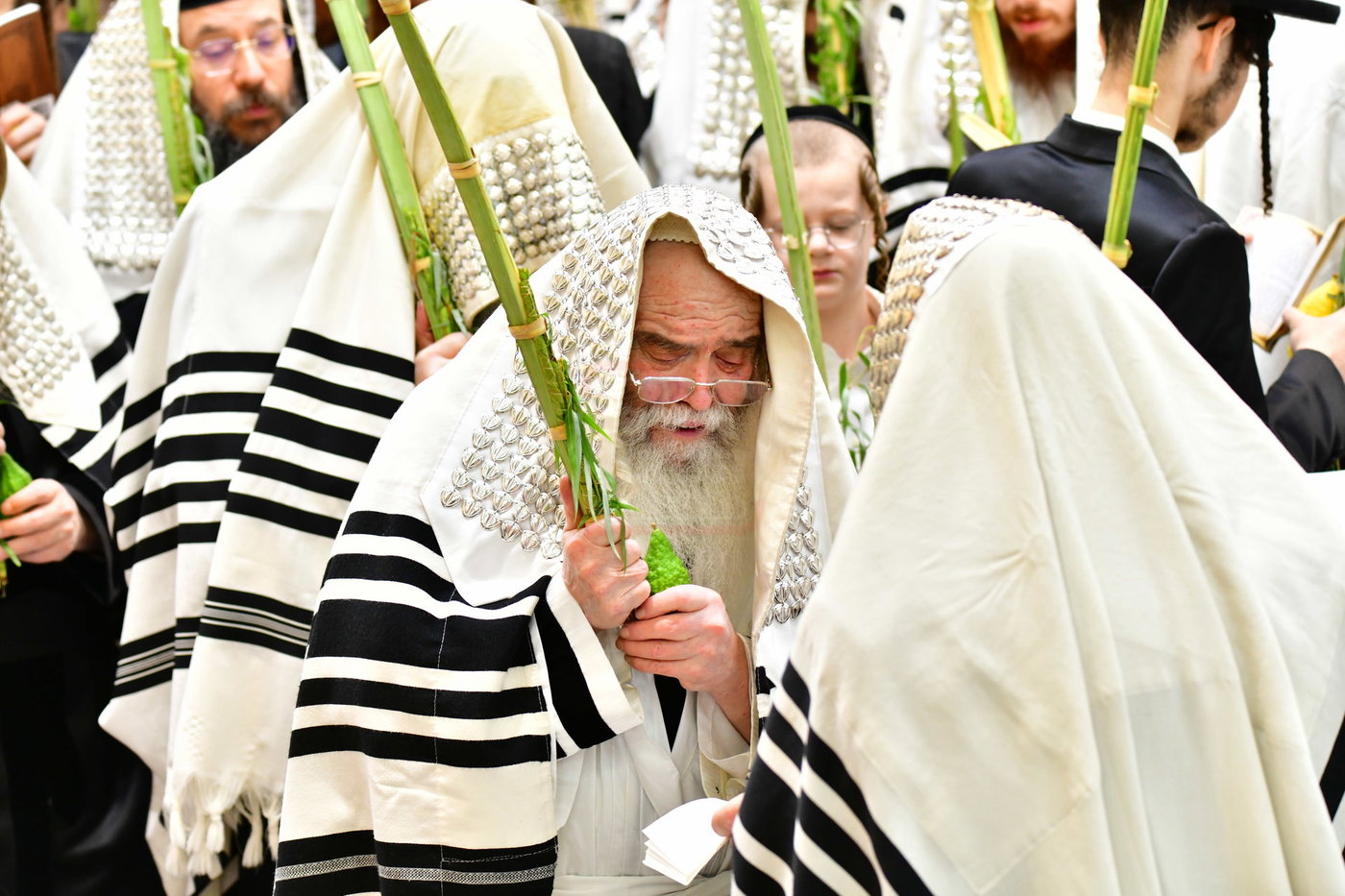 חג הסוכות בחצה"ק קרעטשניף י-ם