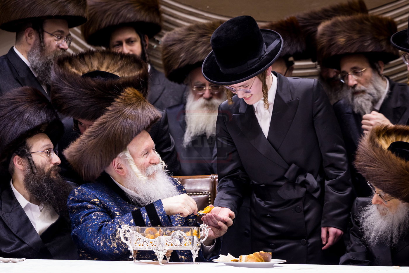 סוכות בחצה"ק באבוב