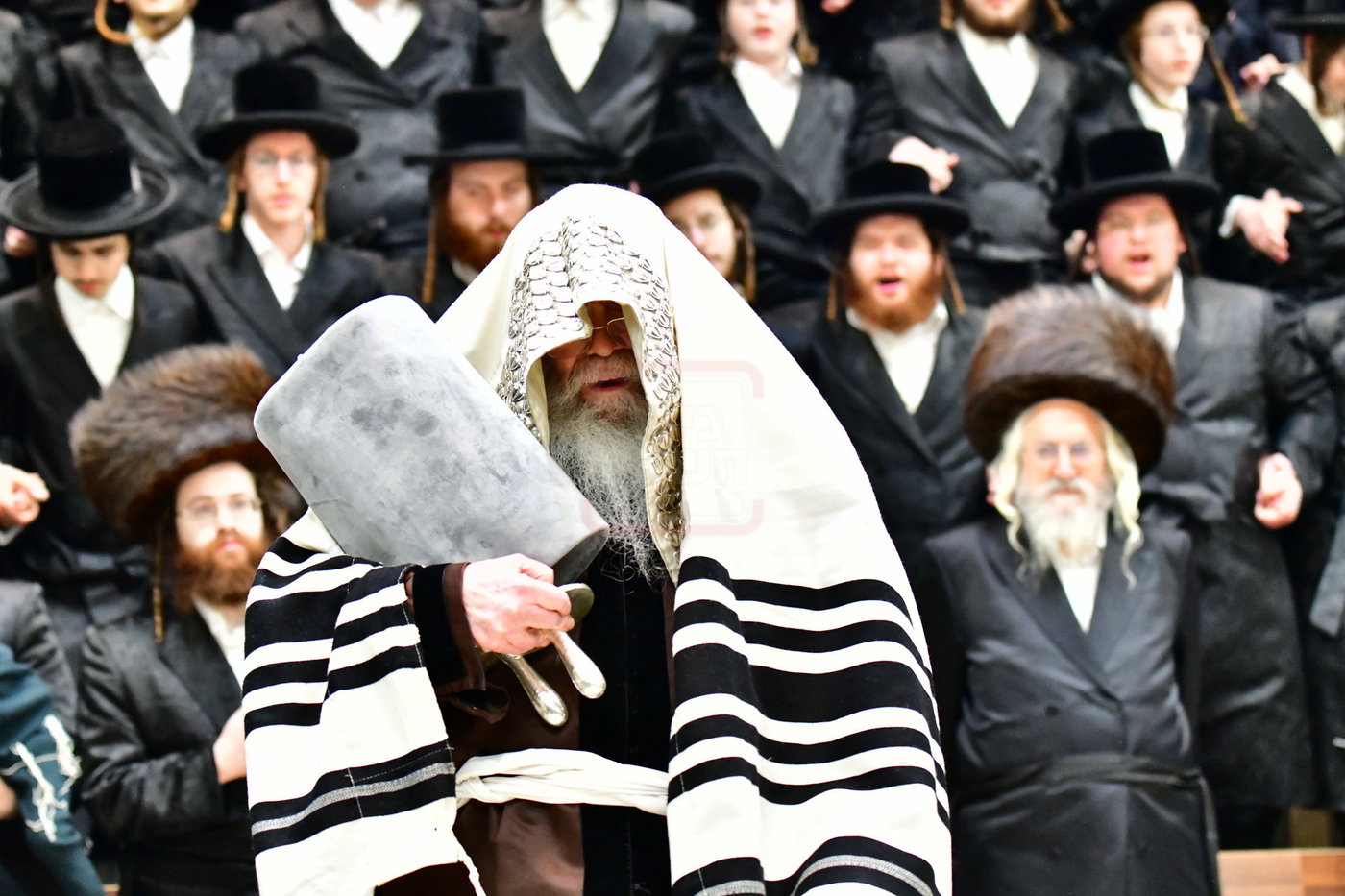 חג הסוכות בחצה"ק קרעטשניף י-ם