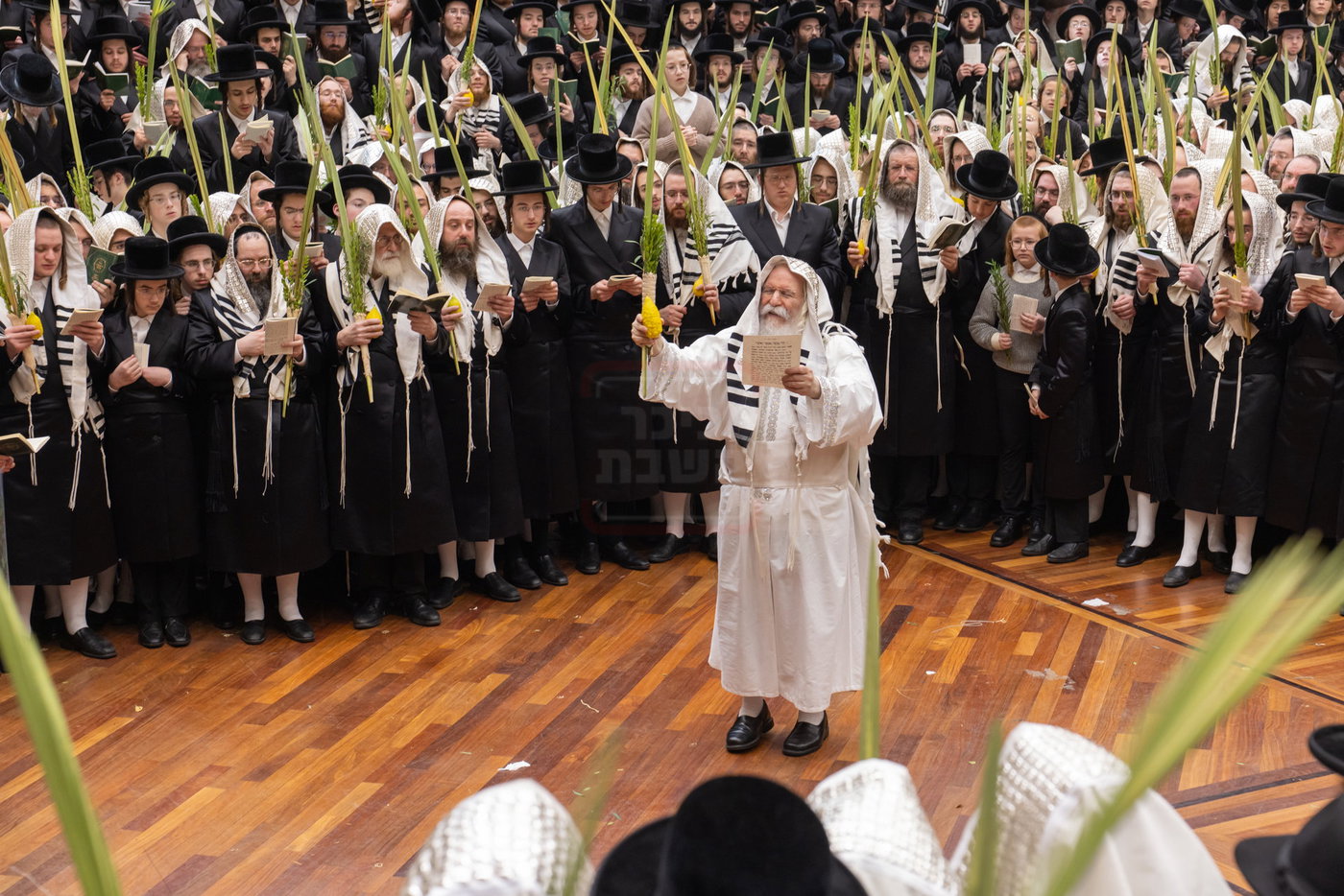הושענא רבה בחצה"ק באבוב
