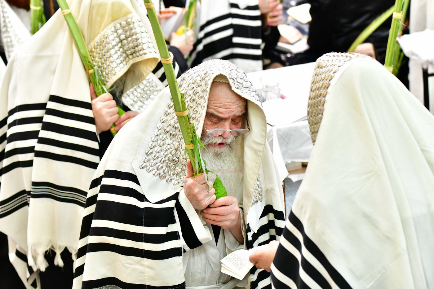 חג הסוכות בחצה"ק קרעטשניף י-ם