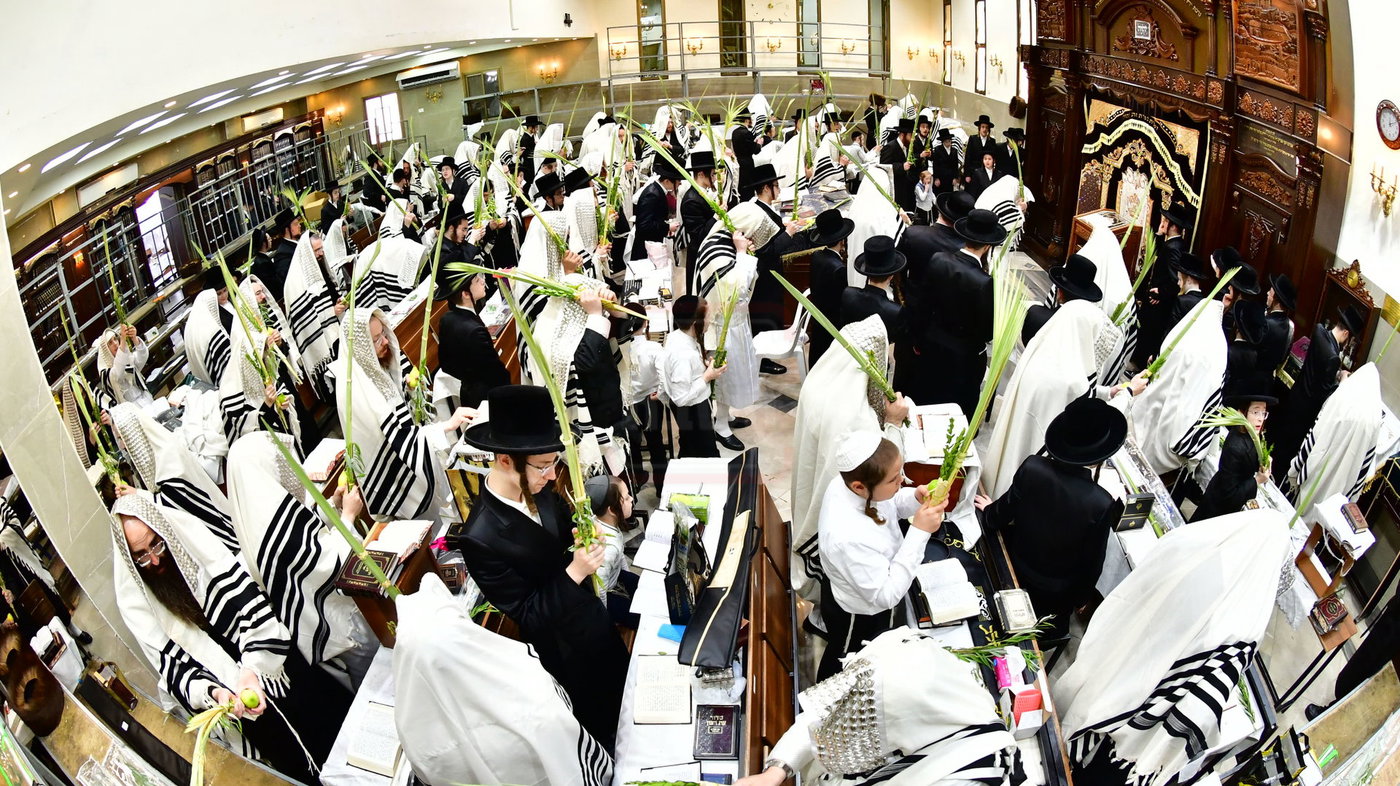 חג הסוכות בחצה"ק קרעטשניף י-ם