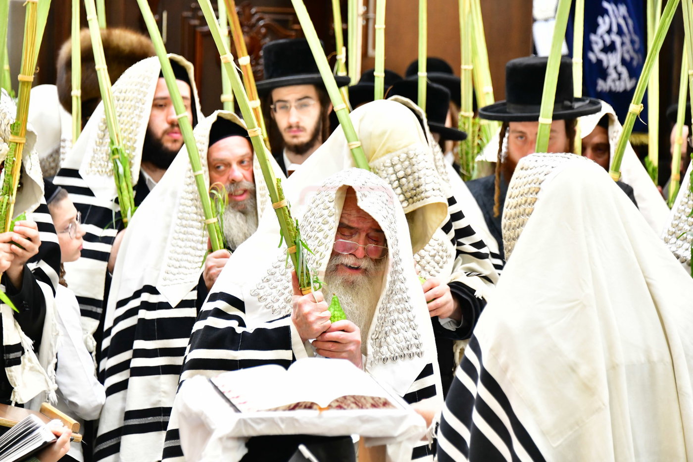 חג הסוכות בחצה"ק קרעטשניף י-ם