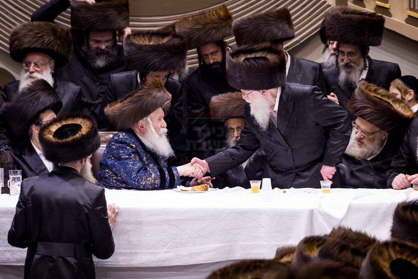 סוכות בחצה"ק באבוב
