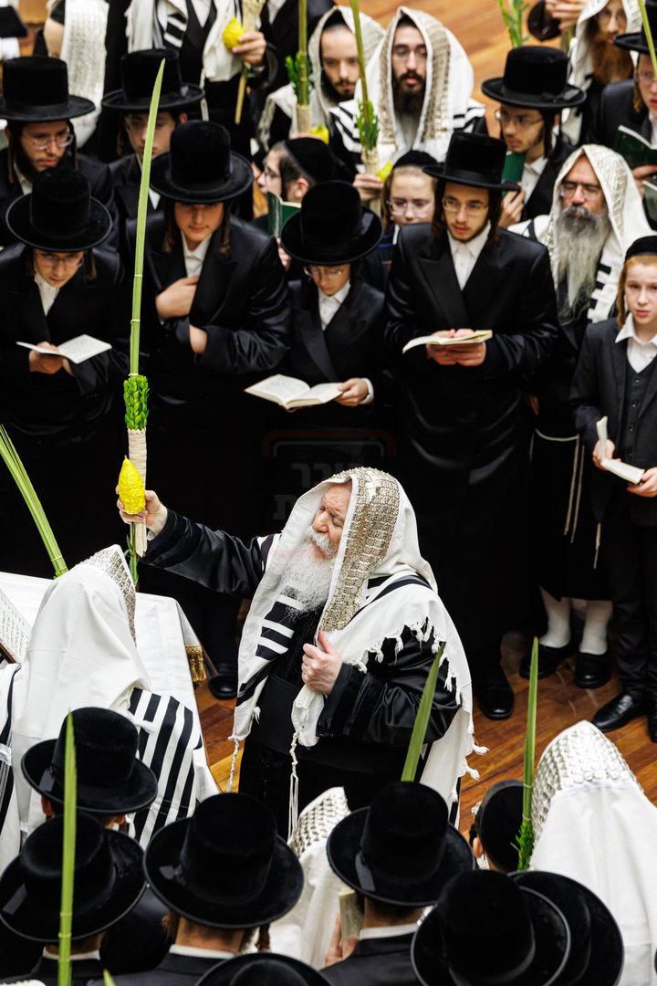 האדמו"ר מבאבוב בנענועים בחג הסוכות