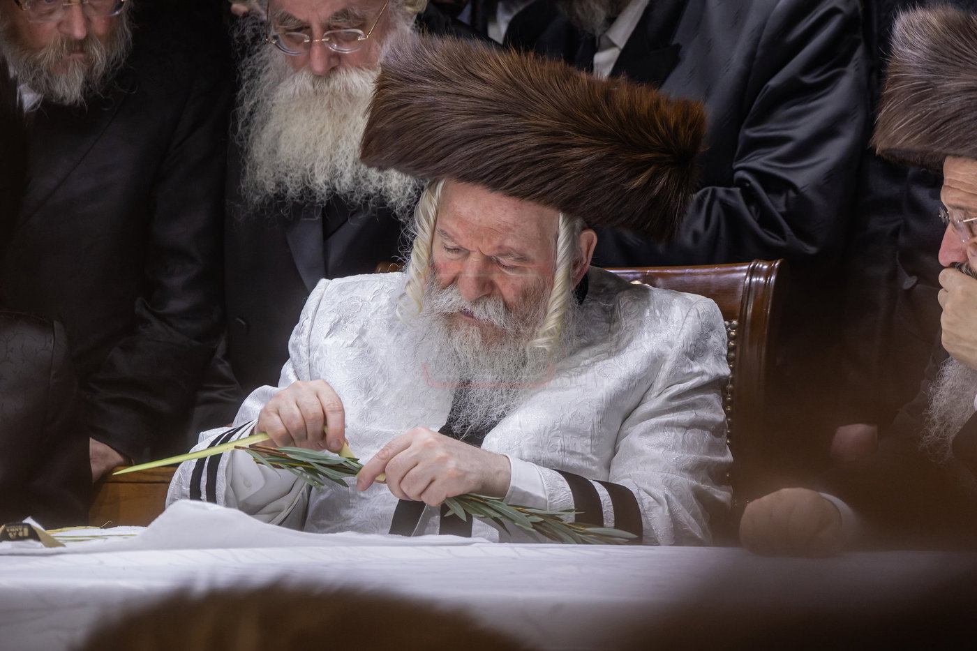 הושענא רבה בחצה"ק באבוב